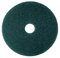 3M™ Blue Cleaner Pad 5300, 17 in, 5/Case